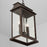 Capital Lighting BoLighton 2-Light Outdoor Hanging , Oiled Bronze/Antiqued