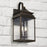 Capital Lighting Sutter Creek Outdoor Wall Mount, Bronze/Antique