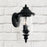 Capital Lighting Ashford 2-Light Small Outdoor Wall Mount, Black/Water