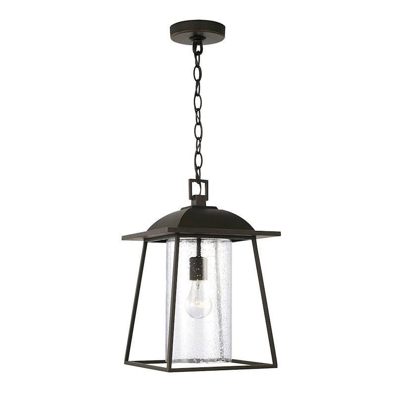 Capital Lighting Durham 1 Light Outdoor Hanging Lantern, Clear
