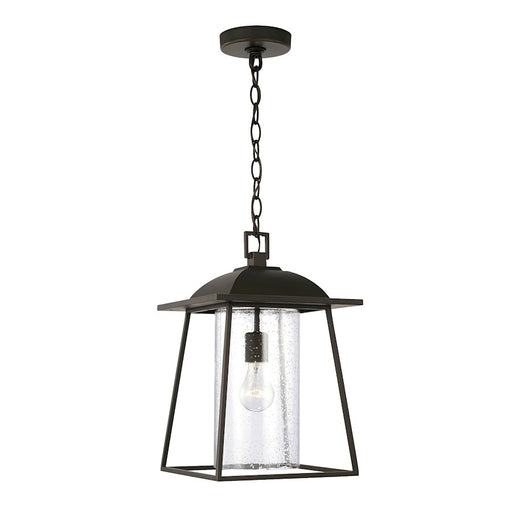 Capital Lighting Durham 1 Light Outdoor Hanging Lantern, Clear