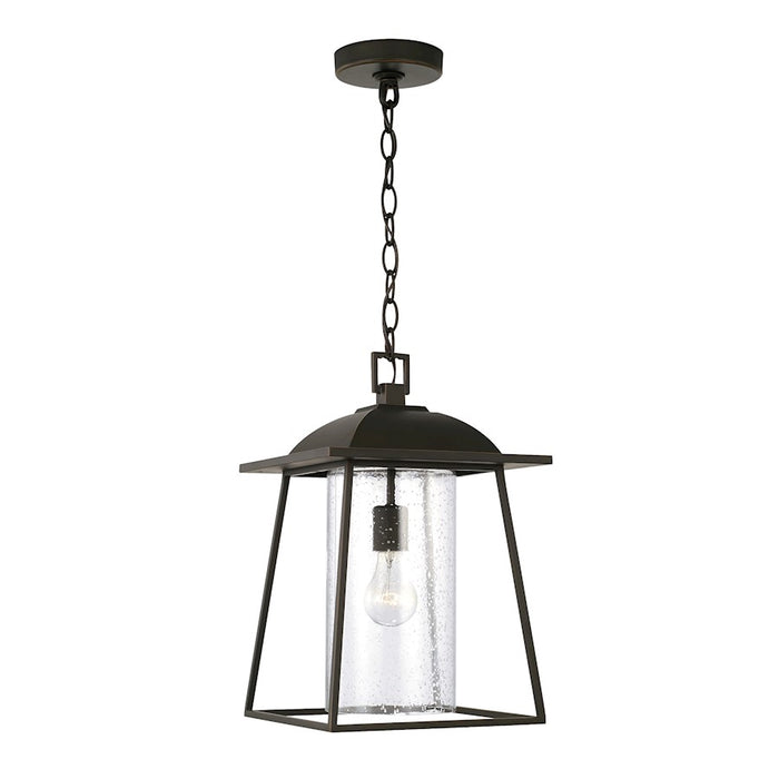Capital Lighting Durham 1 Light Outdoor Hanging Lantern, Clear