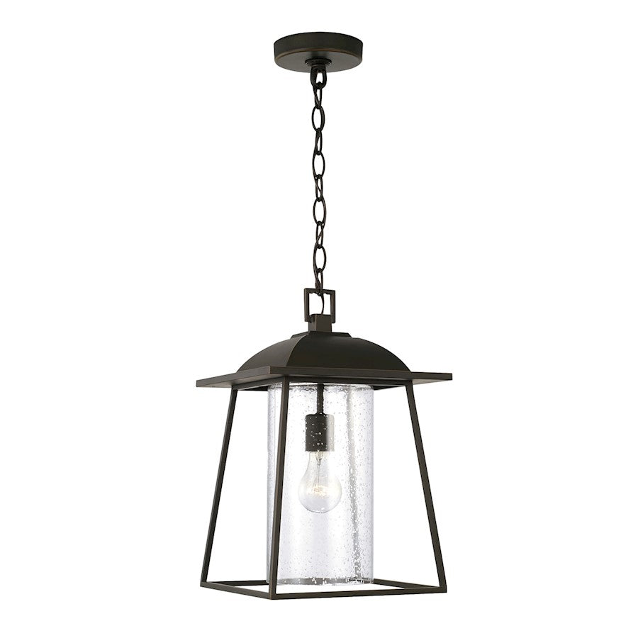 Capital Lighting Durham 1 Light Outdoor Hanging Lantern, Clear