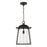 Capital Lighting Durham 1 Light Outdoor Hanging Lantern, Clear