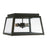 Capital Lighting Leighton 3 Light Outdoor Flush Mount, Clear