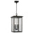 Capital Lighting Barrett 4 Light Outdoor Hanging Lantern