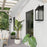 Capital Lighting Burton 1 Light Outdoor Wall Lantern, Black