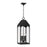 Capital Lighting Burton 4 Light Outdoor Hanging Lantern, Black/Clear