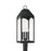 Capital Lighting Burton 4 Light Outdoor Post-Lantern, Black/Clear