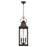 Capital Lighting Bradford 4 Light Outdoor Hanging Lantern