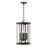 Capital Lighting Walton 4 Light Outdoor Hanging Lantern