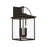 Capital Lighting Bryson Outdoor Wall Lantern, Black/Clear