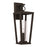 Capital Lighting Elliott 1 Light Outdoor Wall Lantern, Black