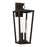 Capital Lighting Elliott 3 Light Outdoor Wall Lantern, Black/Clear