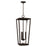 Capital Lighting Elliott 3 Light Outdoor Hanging Lantern, Black/Clear