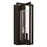 Capital Lighting Kent Outdoor Wall Lantern, Black/Clear