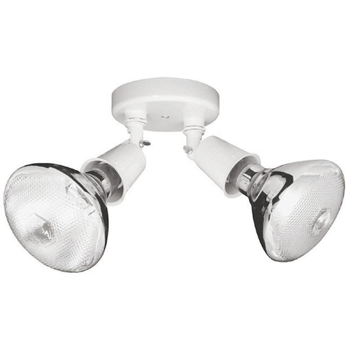 Capital Lighting 2 Light Outdoor Floodlight, White