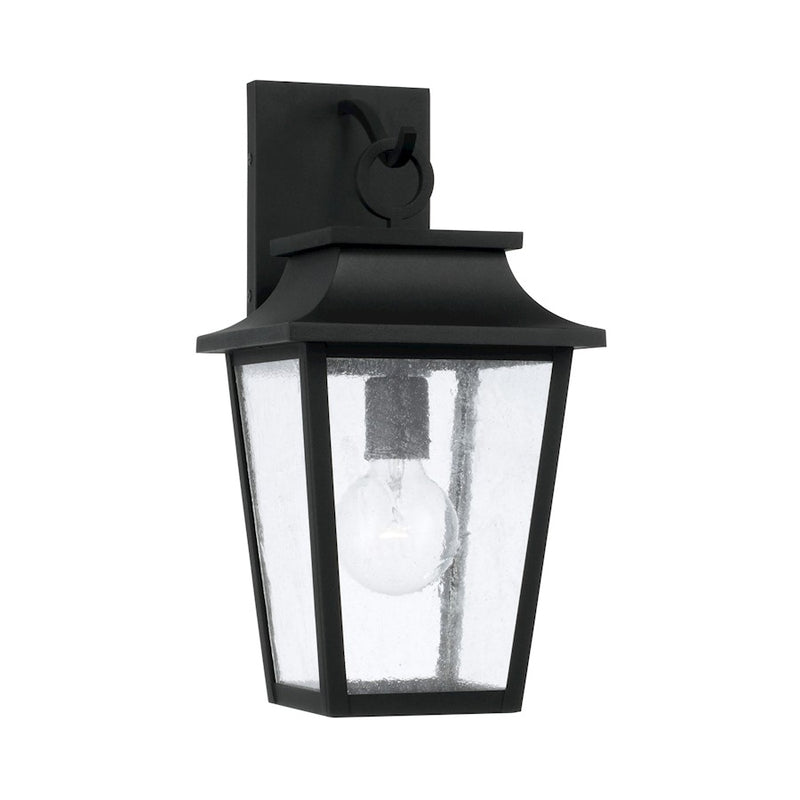 Capital Lighting Chandler 1Lt Outdoor Wall Lantern, Black/Antiqued