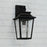 Capital Lighting Chandler 1Lt Outdoor Wall Lantern, Black/Antiqued