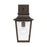 Capital Lighting Chandler 1Lt Outdoor Wall Lantern, Bronze/Antiqued