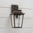 Capital Lighting Chandler 1Lt Outdoor Wall Lantern, Bronze/Antiqued