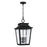 Capital Lighting Chandler 4Lt Outdoor Hanging Lantern, Black/Antiqued - 953344BK