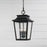 Capital Lighting Chandler 4Lt Outdoor Hanging Lantern, Black/Antiqued