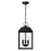 Capital Lighting Nelson 3Lt Outdoor Hanging Lantern, Black/Clear