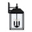 Capital Lighting Nelson 4Lt Outdoor Wall Lantern, Black/Clear