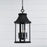 Capital Lighting Bridger 4Lt Outdoor Hanging Lantern, Black/Seeded