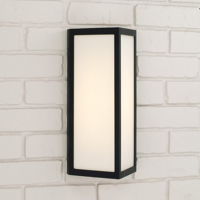 Capital Lighting Irvin 1Lt Outdoor Wall-Lantern, Black/White