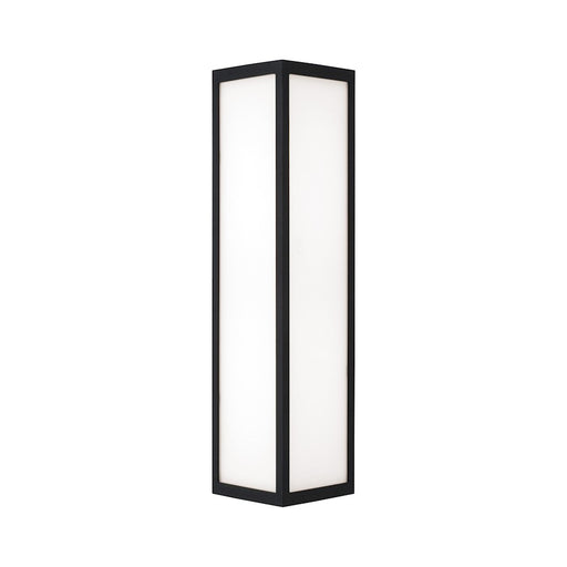 Capital Lighting Irvin 2Lt Outdoor Wall-Lantern, Black/White