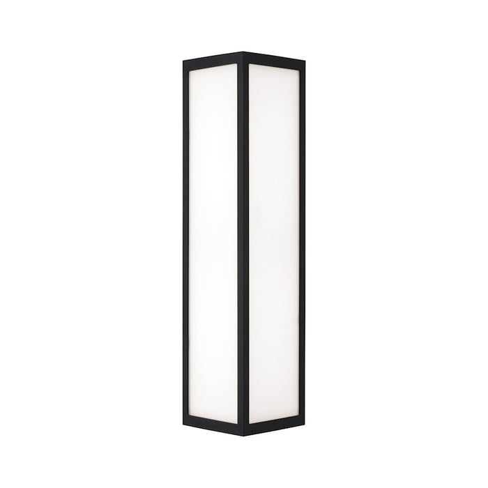 Capital Lighting Irvin 2Lt Outdoor Wall-Lantern, Black/White