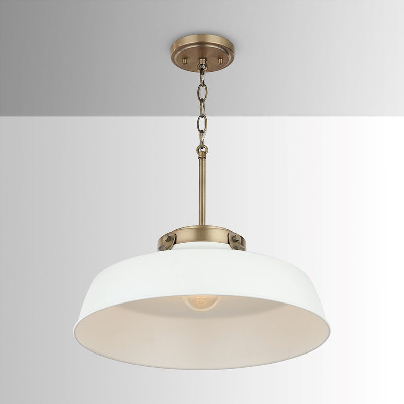 Austin Allen & Co. Oakwood 1-Light Pendant