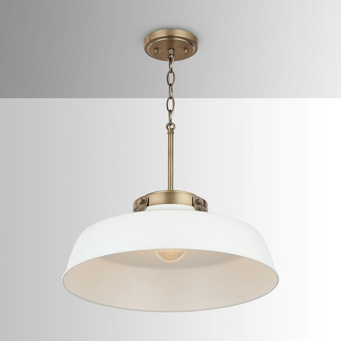 Austin Allen & Co. Oakwood 1-Light Pendant