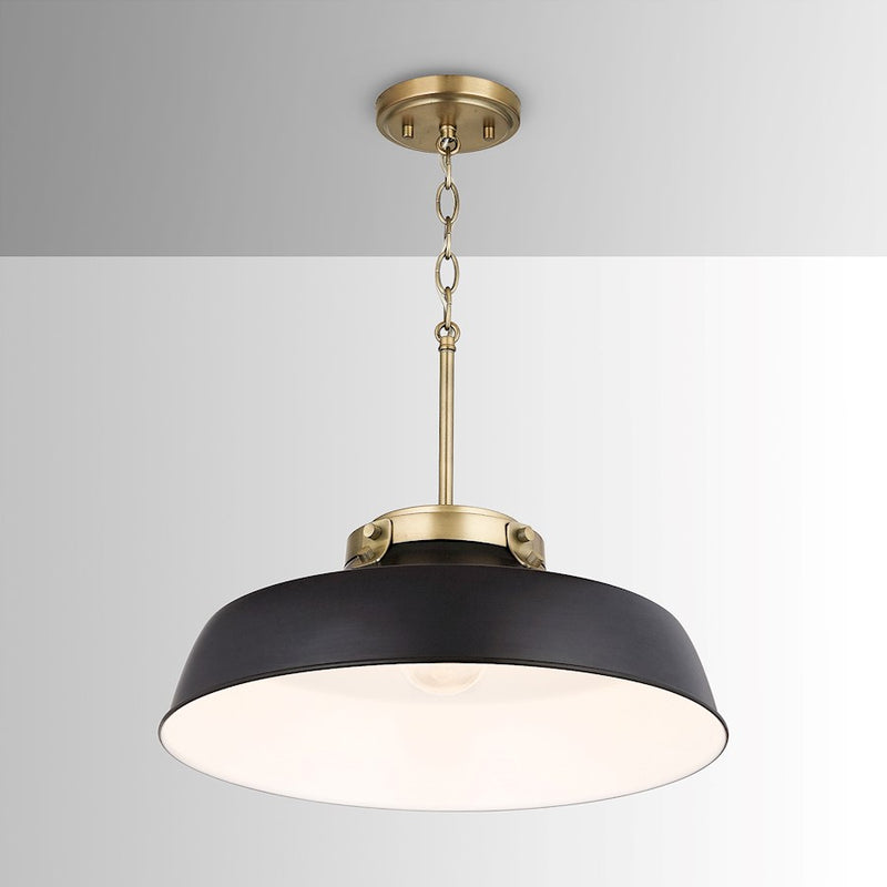 Austin Allen & Co. Oakwood 1-Light Pendant