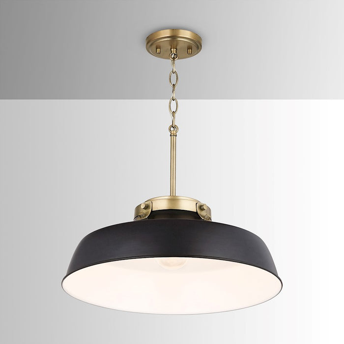 Austin Allen & Co. Oakwood 1-Light Pendant