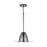 Austin Allen & Co. 1-Light Pendant, Black Chrome