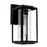 Austin Allen & Co Kessler 1 Light Outdoor Wall-Lantern, Black/Clear