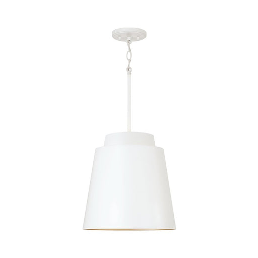 Austin Allen & Co Pratt 1 Light Pendant