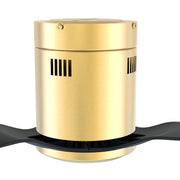Carro Skara 52in 3-Blade Flush Ceiling Fan | Modern Gold Glass Fiber Blades | Living Room & Bedroom | 52 x 52 x 8.9 in | Model CFR523P-N10-G2-1-FM