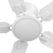 Carro Dunkirk 52in 5-Blade Flush Ceiling Fan | Modern White and Plywood | Large Living Room & Bedroom | 52 x 52 x 10.8 in | Model CFR525J-N10-W1-1-FM