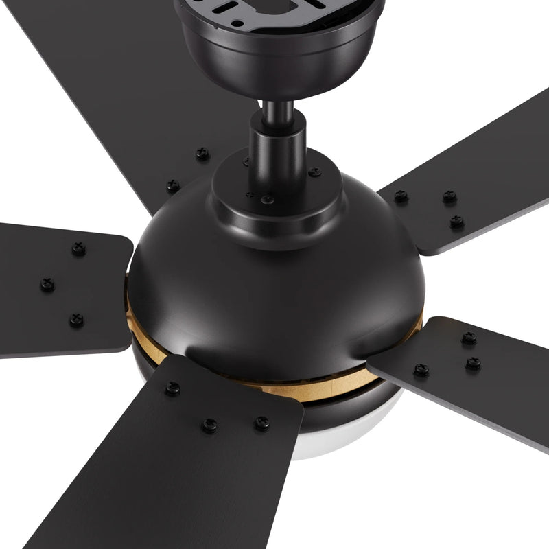 Carro Zelda 52in 5-Blade Ceiling Fan | Soft Modern Black Gold and Plywood | Living Room & Great Room | 52 x 52 x 15.3 in, 4000K | Model CFR525Q4-L11-B2-1G