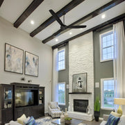 Carro Oberon 56in 3-Blade Ceiling Fan | Industrial Black and Iron | Living Room & Loft | 56 x 56 x 18.3 in, DC Motor, Remote | Model CFR563Z1-N10-B2-1