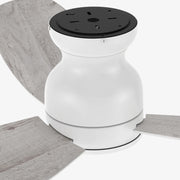 Carro Stanley 60in 3-Blade Flush Mount Ceiling Fan | Modern White and Plywood Blades | Living Room & Bedroom | 60 x 60 x 11 in | Model CFR603Q-N10-WP-1-FM