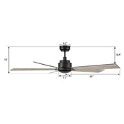 Carro Lurgan 60in 5-Blade Ceiling Fan | Modern Black Finish and Plywood Blades | Large Living Room & Great Room | 60 x 60 x 14 in | Model CFR605J1-N10-BG-1