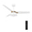 Carro Kenora 48" Ceiling Fan/Remote/Light Kit