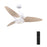Carro Maddox 52" Ceiling Fan/Remote/Light Kit