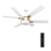 Carro Jaxx 52" Ceiling Fan/Remote/Light Kit