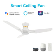 Carro Calen 44in 3-Blade Smart Ceiling Fan | White Gold Plywood | Living Room & Covered Patio | 44 x 44 x 10.4 in, Flush | Model SFR443J3-L11-W1-1-FMA